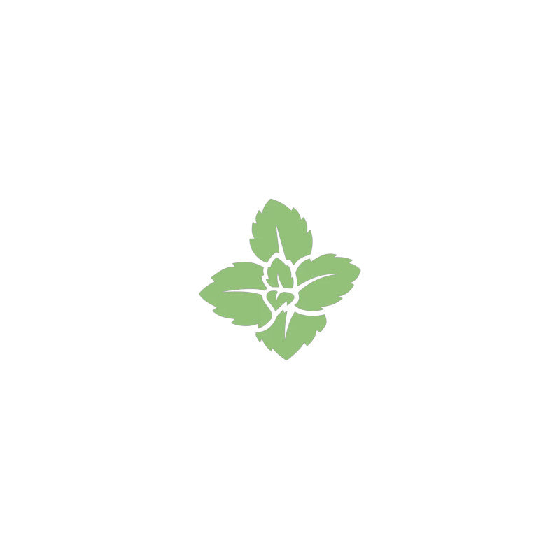 Juicemeister Classics - Spearmint - 10ml